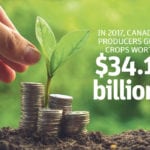 Farm income levels off