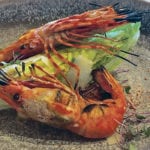Shrimp Caesar with Grilled Lemon. Spot prawns came into season but any type of shrimp or prawn can be used in this salad. | Sarah Galvin photo
