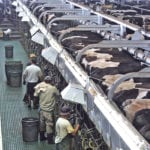 New Alberta organic dairy entrants will be loaned extra quota to get them started in the system. | File photo