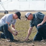 Dakota Odgers, left, and his father Jeff Odgers examine the fall rye cover crop that was emerging in the spring. In the background is the irrigation system the farm recently installed. | Robin Booker photo