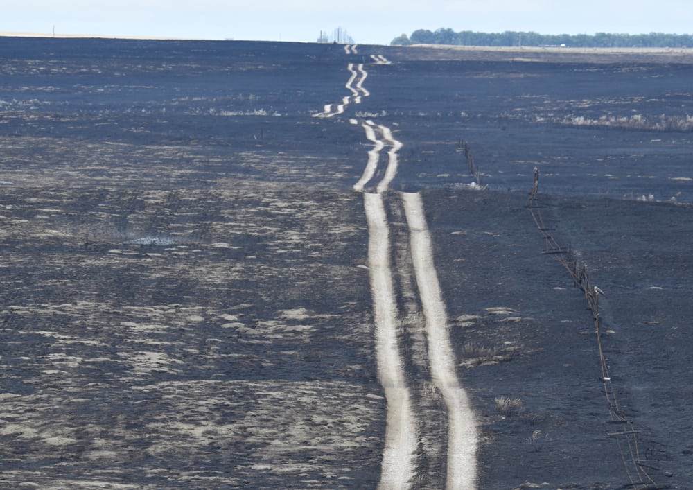 The area near Hilda, Alta., that burned last fall in a wildfire is no longer black but damage to pasture and cropland remains evident. | File photo