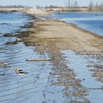 Producers must know what to do if they are evacuated from their property on short notice by a natural disaster such as a flood. | File photo