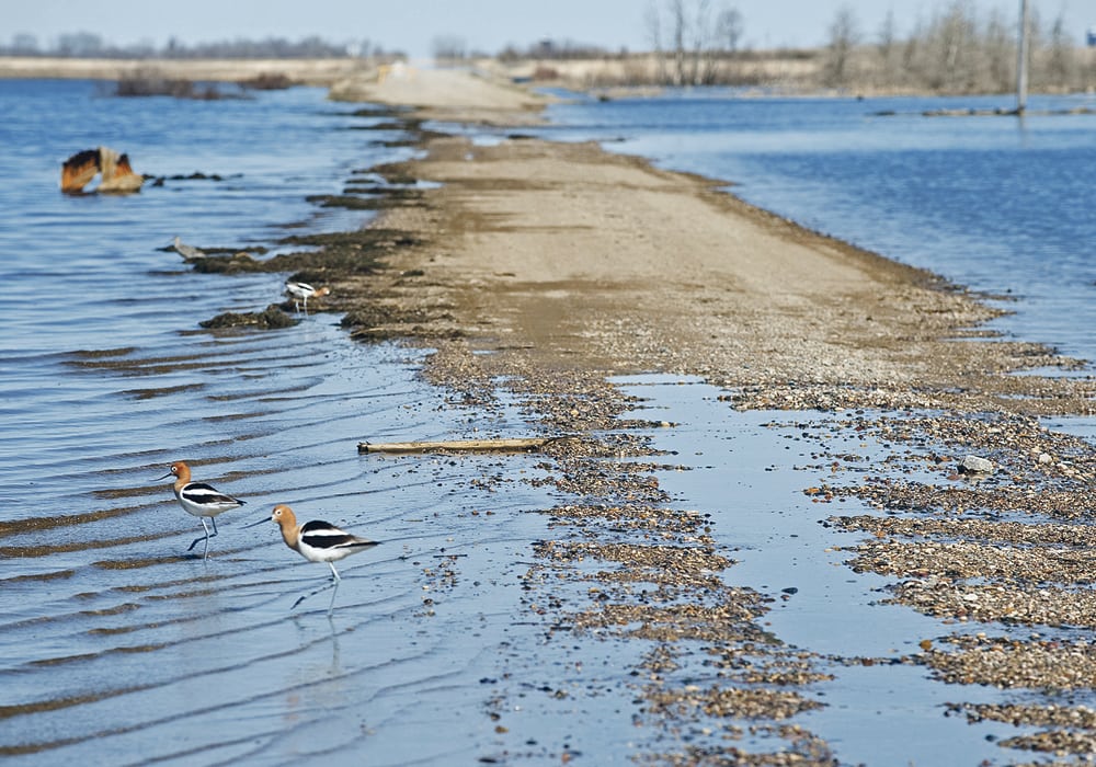 Producers must know what to do if they are evacuated from their property on short notice by a natural disaster such as a flood.  |  File photo