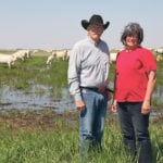 Garner and Lori Deobald raise Charolais cattle at Cedarlea Farms near Hodgeville, Sask. | Karen Briere photo