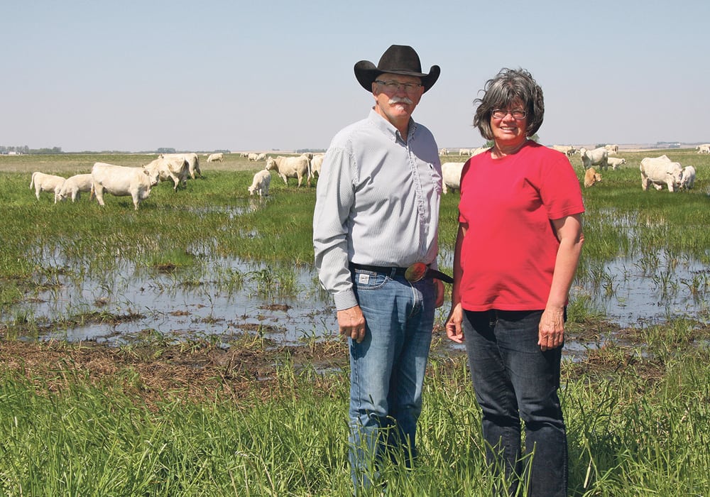 Garner and Lori Deobald raise Charolais cattle at Cedarlea Farms near Hodgeville, Sask.  |  Karen Briere photo