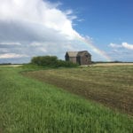 The majority of Saskatchewan crops are in good condition after many areas of the province received rains, according to the Saskatchewan Ministry of Agriculture's crop report for the week ended June 25. | File photo