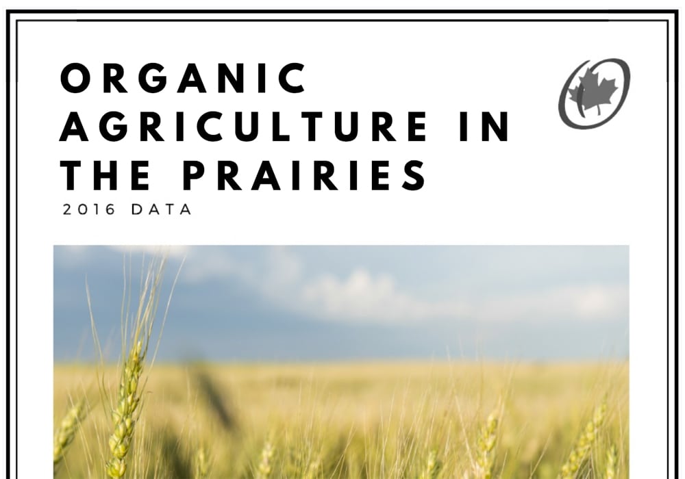 The number of organic crop producers on the Prairies hit 1,442 in 2016, up from a recent low of 1,151 in 2013.? | Screencap via www.scribd.com