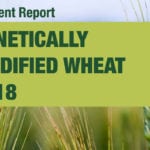 Many people in the grain industry are trying to figure out what may have happened, including former Monsanto researcher Curtis Rempel, who was involved with the development of Roundup Ready wheat.
| Screencap via www.inspection.gc.ca
