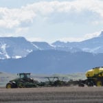 Canadian farmers planted less canola and more wheat compared with last year, but they shifted their plans from earlier this spring to sow more land with canola. | File photo