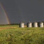 Farmers and traders are keeping a watchful eye on the weather trying to sort out feed grain supplies. | File photo