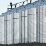 The industry thinks 5.4 million extra tonnes of grain than normal are sitting on the Prairies this summer, and farmers are expected to harvest a big crop this fall. | File photo