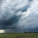 Scattered showers alleviated dryness concerns across much of Saskatchewan during the week ended July 2, but more moisture will be needed as crops develop, according to the latest crop report from Saskatchewan Agriculture, released July 5. | Michael Raine photo