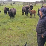 Gary Sweetnam sells his females as breeding stock for other farmers looking to get into the business, while the males are used for pet food and for meat sold directly to consumers and restaurants. | Jeremy Simes photo