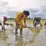 Women plant rice into a field in the northeastern Indian state of Assam July 3. A poor summer monsoon could reduce normal rainfall by 10 to 12 percent, which would be classified as a drought. | REUTERS/Anuwar Hazarika photo