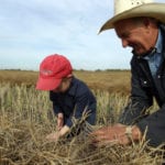 Finance Canada is holding consultations this month on how to enable intergenerational farm transfers.
| File photo