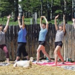 Instructor Lisette McCracken leads a group in an hour plus yoga session as goats wander about at Early Dawn Goat Dairy near Water Valley, Alta. | Patrick Price photo