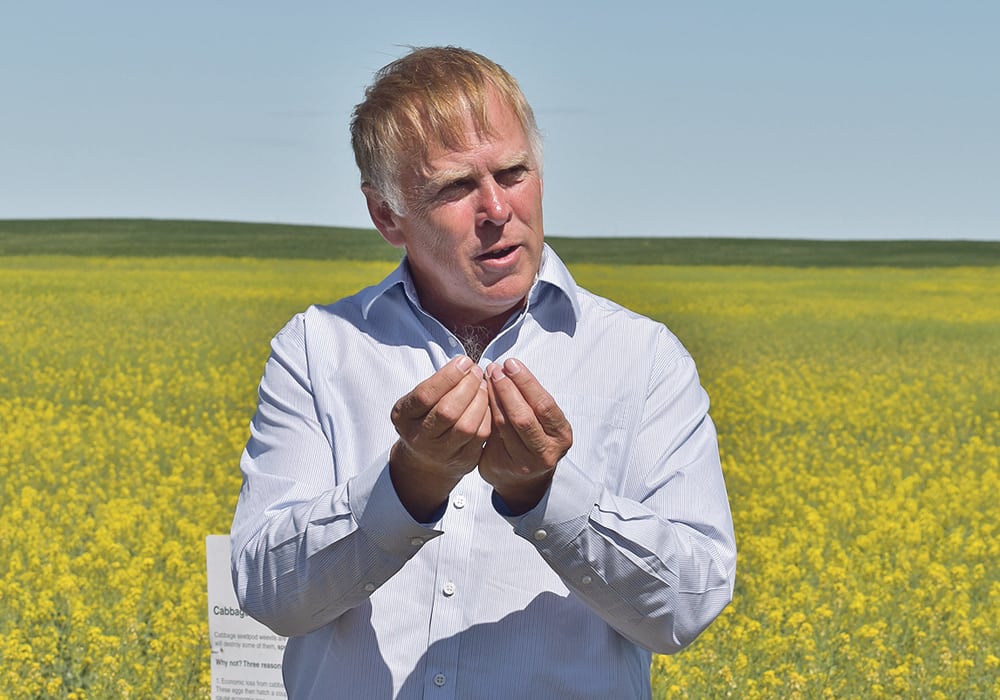 Scott Meers, an insect specialist with Alberta Agriculture, told a canola crop walk last week that farmers need to make sure to do enough sweeps when scouting for insects so that they can make proper spraying decisions.  |  Barb Glen photo