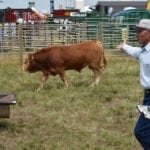Cattle handling expert Dylan Biggs describes ways to guide cattle and lower human stress levels while doing so during a workshop at Ag in Motion July 18. | Barb Glen photo