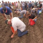 The air seeder demonstrations at Ag in Motion were well-attended during the three day show near Langham, Sask. | William DeKay photo