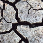 Knowing what is under the surface is key to crop productivity, but discovering what is plant available typically relies on sound science and extensive sampling. | Michael Raine photo