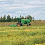 Below average yields are being reported for the first cut of hay in all three prairie provinces. | Randy Vanderveen photo