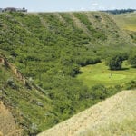 A golf course is nestled in a coulee in Medicine Hat.