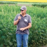 Larry Marshall, a hemp grower from Shellbrook, Sask., told the recent Canada-Saskatchewan Irrigation Diversification Centre field day in Outlook, Sask., that producers need to minimize the amount of fibre going through their combines. | Karen Briere photo