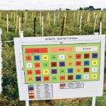 The Alberta Alfalfa Seed Commission is conducting research on the use of plant growth regulators to see if they result in a more upright crop that is easier to harvest for seed. | Barb Glen photo