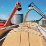 A trailer is filled with soybeans at a farm in Buda, Illinois, last month. American processors are doing a booming business as more beans stay in the country because of the trade war. | REUTERS/Daniel Acker photo
