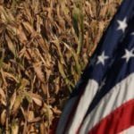 Today's WASDE report indicates corn may set an American record for production at an average of 178.4 bushels per acre. | File photo
