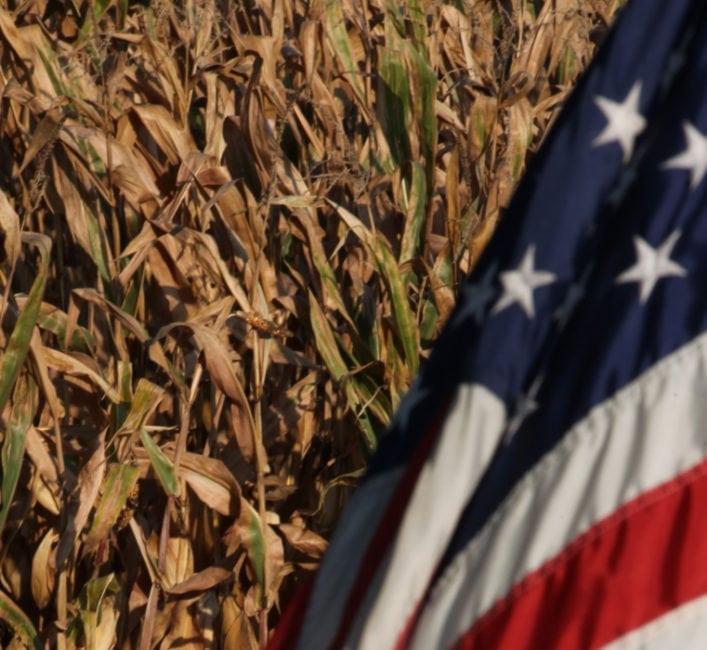 Today's WASDE report indicates corn may set an American record for production at an average of 178.4 bushels per acre. | File photo
