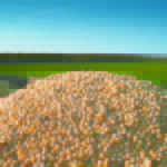 Protein in Prairies soybeans isn't as high as in other regions and this is an issue for grain marketers. | File photo
