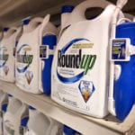 A California jury on Friday found Monsanto liable in a lawsuit filed by a man who alleged the company's glyphosate-based weed-killers, including Roundup, caused his cancer and ordered the company to pay $289 million in damages. | File photo