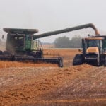 Five per cent of the provincial crop has been combined, while nine per cent is swathed or ready to be straight-cut, according to the weekly crop report from the Saskatchewan Ministry of Agriculture released Aug. 16. | Robin Booker photo