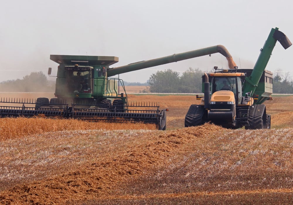Five per cent of the provincial crop has been combined, while nine per cent is swathed or ready to be straight-cut, according to the weekly crop report from the Saskatchewan Ministry of Agriculture released Aug. 16. | Robin Booker photo
