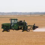 When agronomists are asked about using glyphosate as a desiccant, the standard response is: