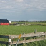 Saskatchewan Premier Scott Moe argues that farmland is an enormous carbon sink, sequestering millions of tonnes of carbon dioxide every year. | File photo
