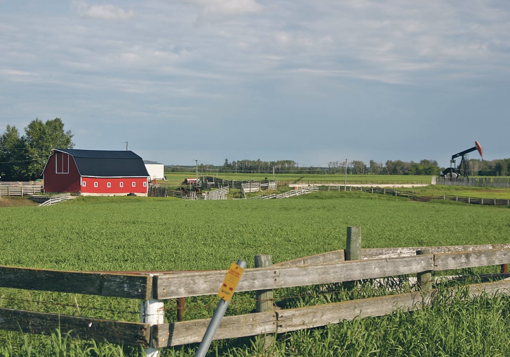 Saskatchewan Premier Scott Moe argues that farmland is an enormous carbon sink, sequestering millions of tonnes of carbon dioxide every year.  |  File photo