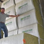 Jordan Van Hierden, who manages Green Prairie International’s equine and feed division for North America and the Middle East, says these 340-kilogram hay bales were destined for Saudi Arabia before that country’s current dispute with Canada erupted. | Barb Glen photo