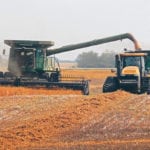Yellow peas are harvested near Insinger, Sask., Aug. 11. In general, a below-average but top quality crop is expected across the Prairies this year. | Robin Booker photo