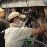 The United States and Mexico agreed on Monday to a sweeping trade deal that pressures Canada to accept the new terms on autos trade, dispute settlement and agriculture to keep a trilateral North American Free Trade Agreement (NAFTA). Supply management has been a contentious issue in previous negotiations. | File photo