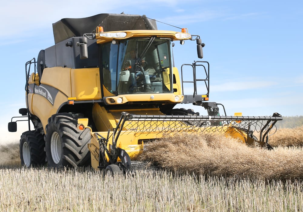 Harvest is slowly gearing up across the Canadian Prairies, which is expected to pressure prices in the coming days. | File photo