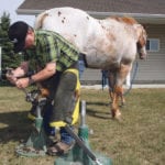 Laurie Tonita trims the hoof of Zip, a 20-year-old appaloosa horse on an acreage near Saskatoon. | Sean Pratt photo
