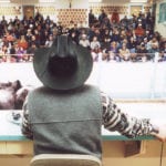 Manitoba cattle auctions reported strong prices this week amid good interest from the United States and Ontario. | File photo