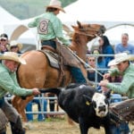 Clem Armstrong, left, of the Circle 2 Ranch team and his son, Parker, wrestle a steer after it was roped by Luke Shields, middle, and his father, Bill, in the team branding event. | Mile Sturk photo
