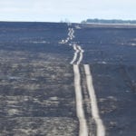 Memories of the Sept. 11, 2017, wildfire still burn deep in the minds of ranchers who lost cattle, property and grazing land.
| File photo