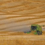 Canadian canola ending stocks as of July 31, 2018, came in at about a million tonnes above the previous year's carryout, but were still well within trade expectations. | File photo