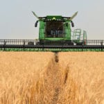 Harvest is ahead of schedule in Saskatchewan, with 39 percent of the crop in the bin, compared to the five-year average of 25 percent, according to the weekly crop report from Saskatchewan Agriculture released Sept. 6. | Barb Glen photo