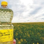 In 2017, Canada exported more than $3 billion worth of canola oil, meal and other canola products to the United States.
| File photo