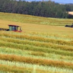 The Manitoba harvest was 65 percent complete as of September 10, according to the latest crop report from Manitoba Agriculture. | File photo